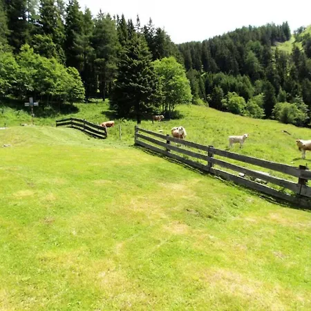 Chalet Almhuette Unterhofer Obervellach
