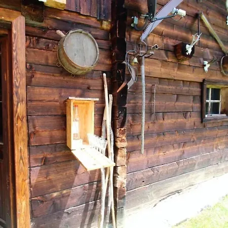 Almhuette Unterhofer Chalet Obervellach