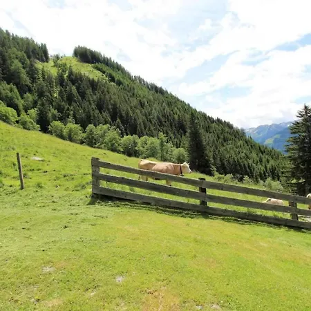 Almhuette Unterhofer Obervellach