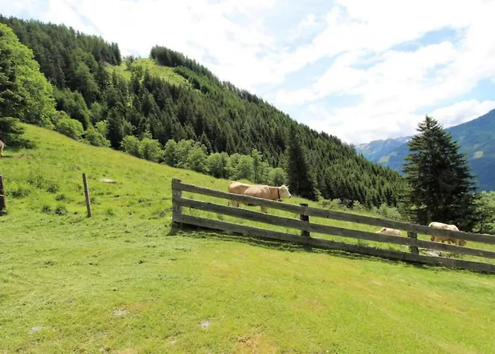 Almhuette Unterhofer Domek alpejski